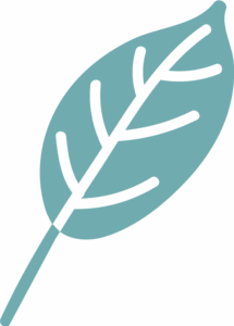 leaf logo teal.png