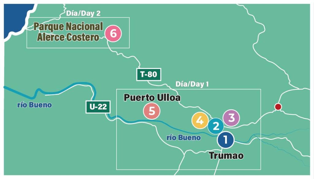 circuito trumao